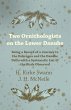Two Ornithologists on the Lower Danube... - Bild 1