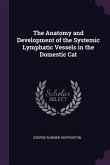 The Anatomy and Development of the Systemic Lymphatic Vessels in the Domestic Cat