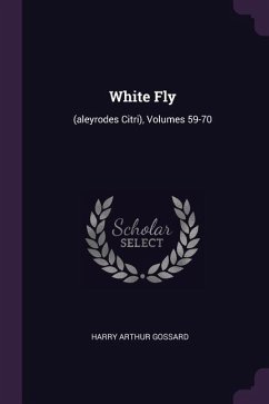 White Fly