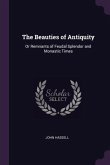 The Beauties of Antiquity