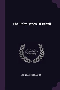 The Palm Trees Of Brazil - Branner, John Casper