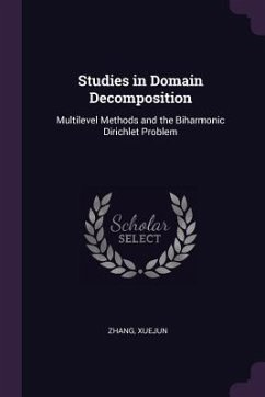 Studies in Domain Decomposition - Zhang, Xuejun