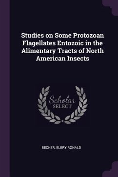 Studies on Some Protozoan Flagellates Entozoic in the Alimentary Tracts of North American Insects