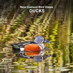 New Zealand bird views