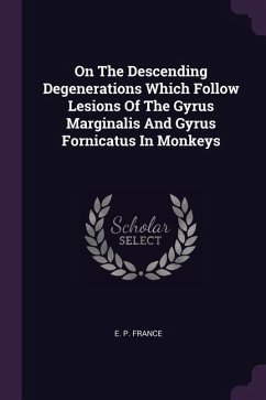 On The Descending Degenerations Which Follow Lesions Of The Gyrus Marginalis And Gyrus Fornicatus In Monkeys - France, E P