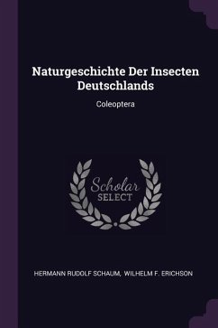 Naturgeschichte Der Insecten Deutschlands - Schaum, Hermann Rudolf