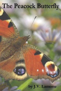 The Peacock Butterfly - Lamotte, J. V.