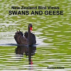 New Zealand bird views - Adams, Raewyn