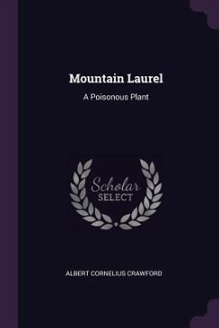 Cover Mountain Laurel