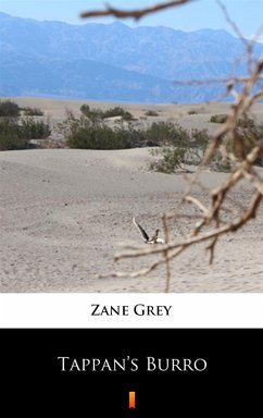 Tappan's Burro (eBook, ePUB) - Grey, Zane
