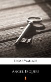 Angel Esquire (eBook, ePUB)