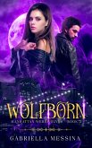 Wolfborn (Manhattan Werewolves series, #3) (eBook, ePUB) Wolfborn (Manhattan Werewolves series, #3) (eBook, ePUB)