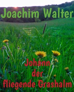 Johann der fliegende Grashalm (eBook, ePUB) - Walter, Joachim