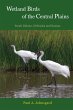 Wetland Birds of the Central Plains - Bild 1