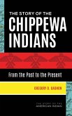 The Story of the Chippewa Indians