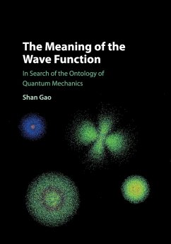 The Meaning of the Wave Function - Gao, Shan