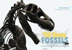 The 50 State Fossils: A Guidebook for Aspiring Paleontologists