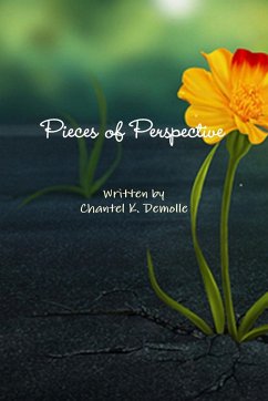 Pieces of Perspective - Demolle, Chantel K.