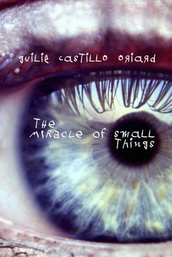 The Miracle of Small Things - Castillo Oriard, Guilie