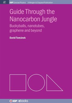 Guide Through the Nanocarbon Jungle (eBook, ePUB) Guide Through the Nanocarbon Jungle (eBook, ePUB)