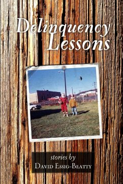 Cover Delinquency Lessons