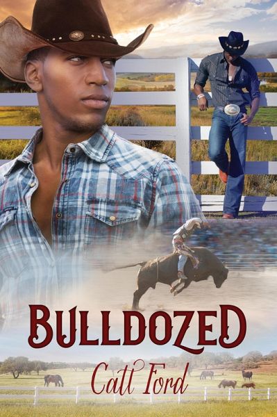 Bulldozed (eBook, ePUB) Bulldozed (eBook, ePUB)