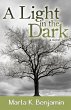 Light in the Dark (eBook, ePUB) - Bild 1