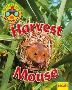 Harvest Mouse - Owen, Ruth