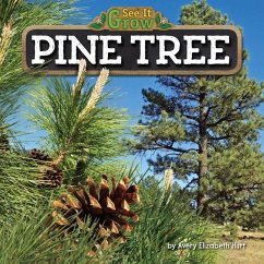 Pine Tree - Hurt, Avery