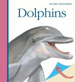 Dolphins