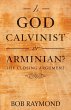 Is God Calvinist or Arminian? - Bild 1