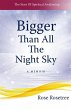 Bigger than All the Night Sky - Bild 1