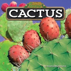 Cactus - Vasilyeva, Anastasiya