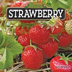 Strawberry - Merwin, E.