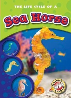 The Life Cycle of a Sea Horse - Sexton, Colleen