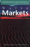 Water Markets (eBook, ePUB)