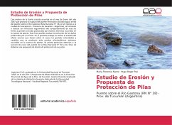 Estudio de Erosión y Propuesta de Protección de Pilas
