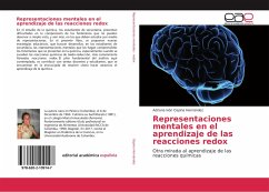 Representaciones mentales en el aprendizaje de las reacciones redox - Ospina Hernández, Adriana Ivón