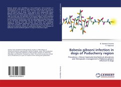 Babesia gibsoni infection in dogs of Puducherry region - Chandra, B. Subhash;Rajkumar, K.