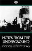 Notes from the Underground (eBook, ePUB)