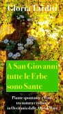 A San Giovanni tutte le Erbe sono Sante (eBook, ePUB)