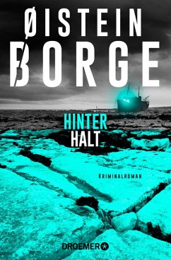 Hinterhalt / Bogart Bull Bd.2 (eBook, ePUB) - Borge, Øistein