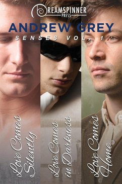 Senses Vol.1 (eBook, ePUB) - Grey, Andrew