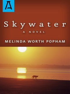 Cover Skywater (eBook, ePUB)