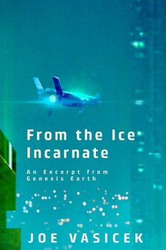 From the Ice Incarnate (eBook, ePUB) - Vasicek, Joe