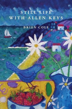 Still Life with Allen Keys - Cole, Brien