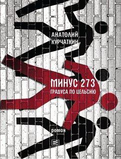 Минус 273 градуса по Цельсию (eBook, ePUB) - Курчаткин, Анатолий