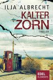 Kalter Zorn (eBook, ePUB)