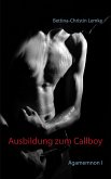 Ausbildung zum Callboy (eBook, ePUB)