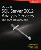 Microsoft SQL Server 2012 Analysis Services (eBook, ePUB)